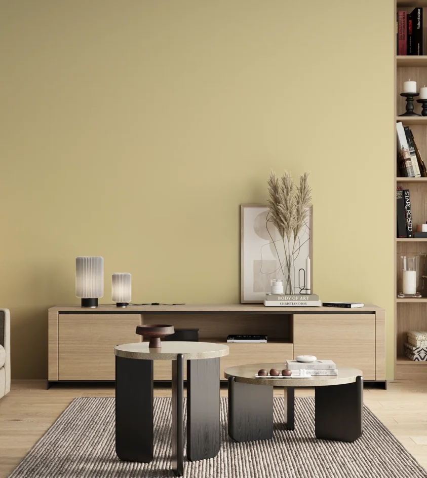 P10_SNIEZKA_salon_00_neutral_GREY_S0515-Y