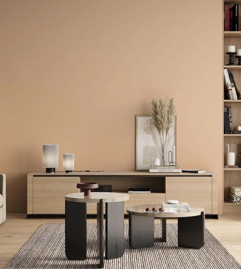 P10_SNIEZKA_salon_00_neutral_GREY_S0515-Y50R