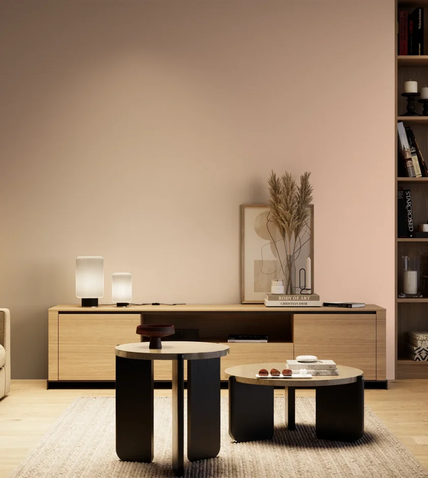 P10_SNIEZKA_salon_04_cieple_GREY_S0515-Y70R