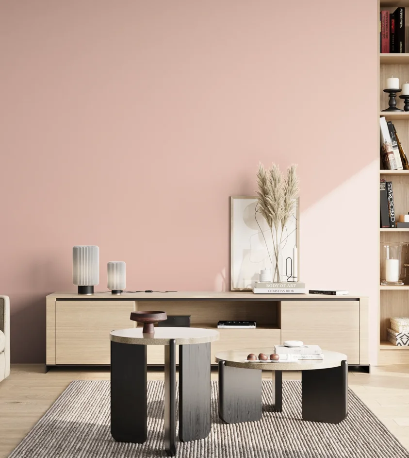 P10_SNIEZKA_salon_02_poludnie_GREY_S0515-Y90R