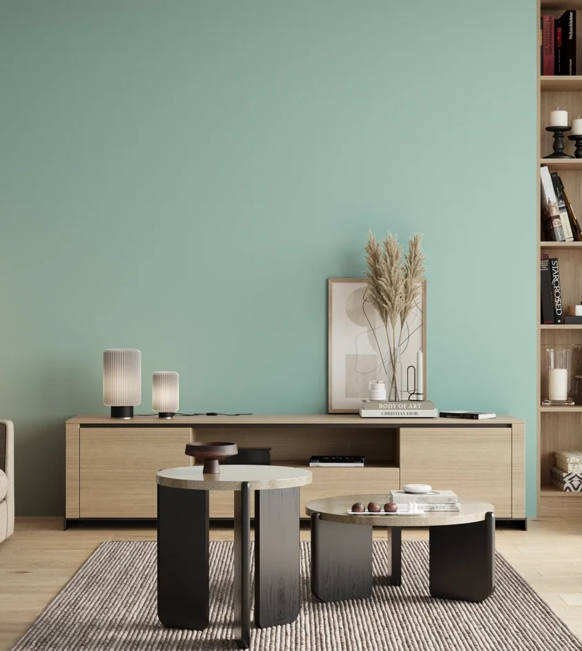 P10_SNIEZKA_salon_00_neutral_GREY_S0520-B60G