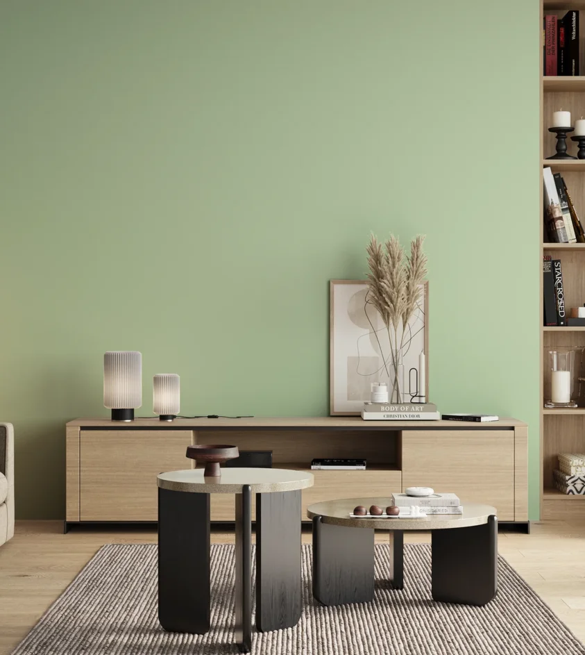 P10_SNIEZKA_salon_00_neutral_GREY_S0520-G20Y