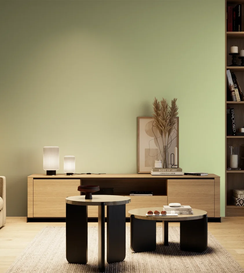 P10_SNIEZKA_salon_04_cieple_GREY_S0520-G40Y