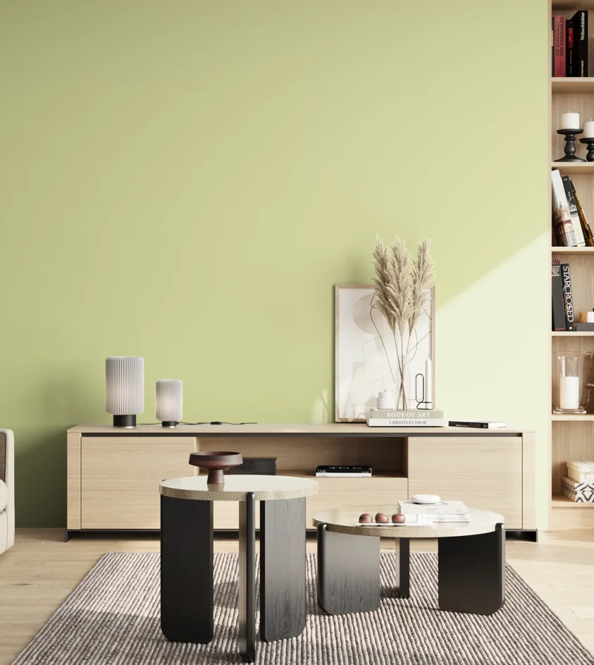 P10_SNIEZKA_salon_02_poludnie_GREY_S0520-G60Y