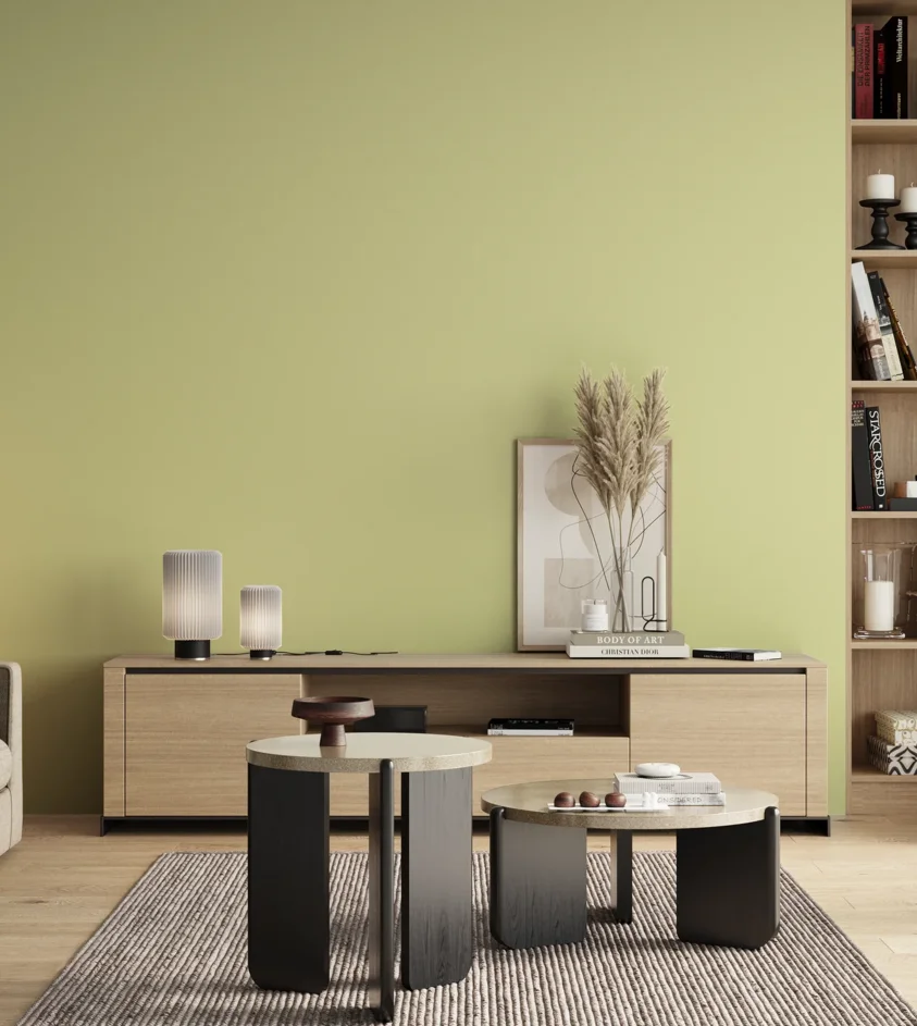 P10_SNIEZKA_salon_00_neutral_GREY_S0520-G70Y