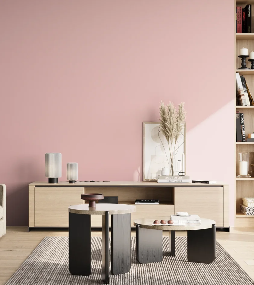 P10_SNIEZKA_salon_02_poludnie_GREY_S0520-R10B
