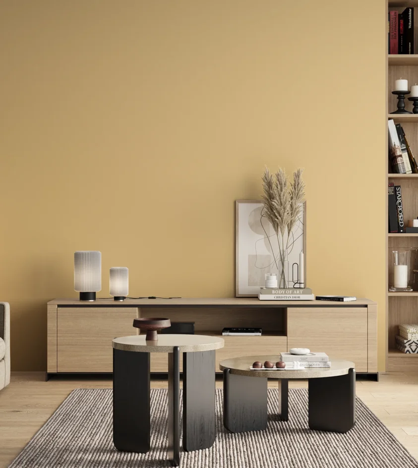 P10_SNIEZKA_salon_00_neutral_GREY_S0520-Y20R