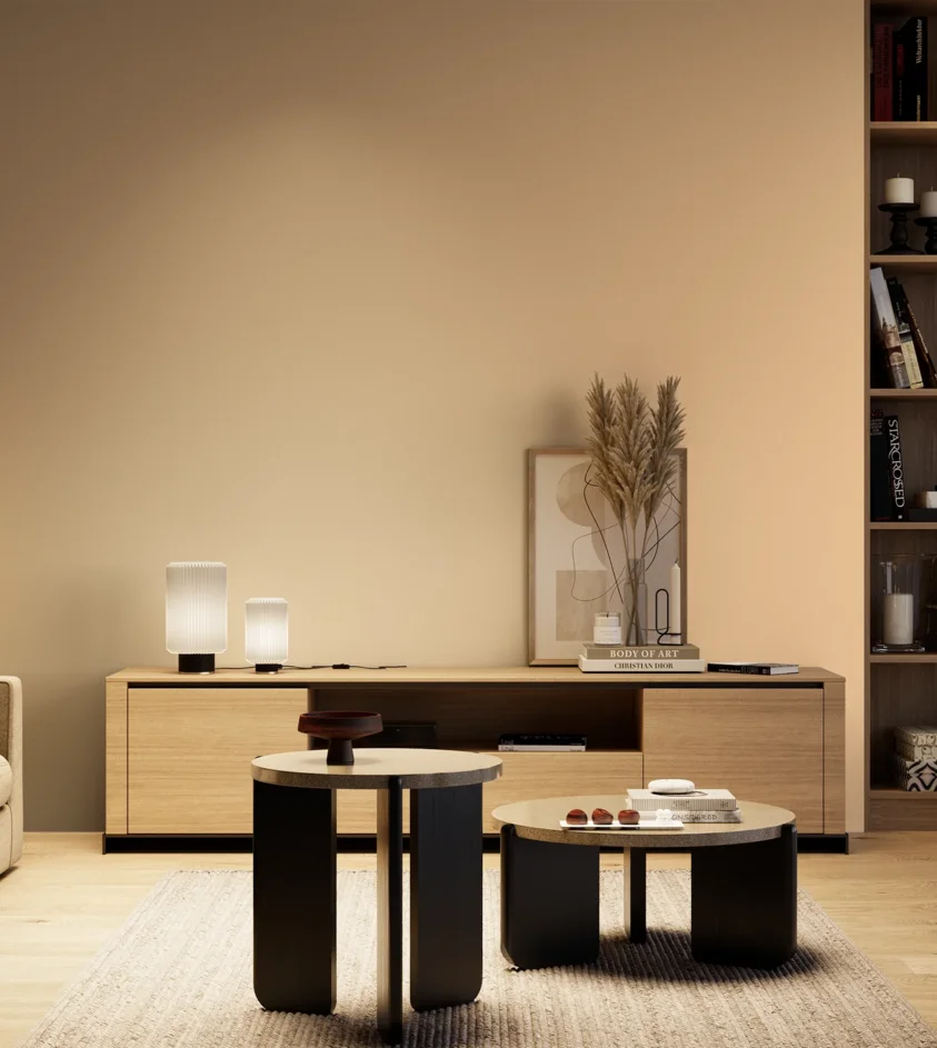 P10_SNIEZKA_salon_04_cieple_GREY_S0520-Y40R