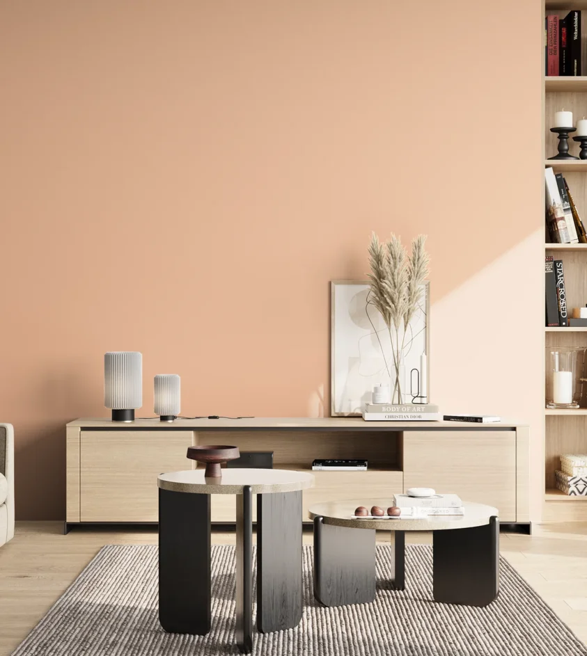 P10_SNIEZKA_salon_02_poludnie_GREY_S0520-Y60R