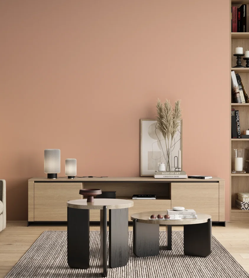 P10_SNIEZKA_salon_00_neutral_GREY_S0520-Y70R