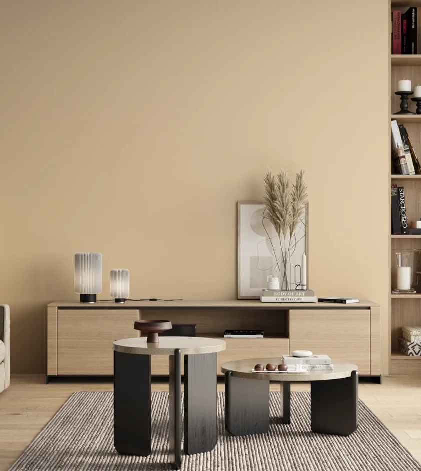 P10_SNIEZKA_salon_00_neutral_GREY_C24