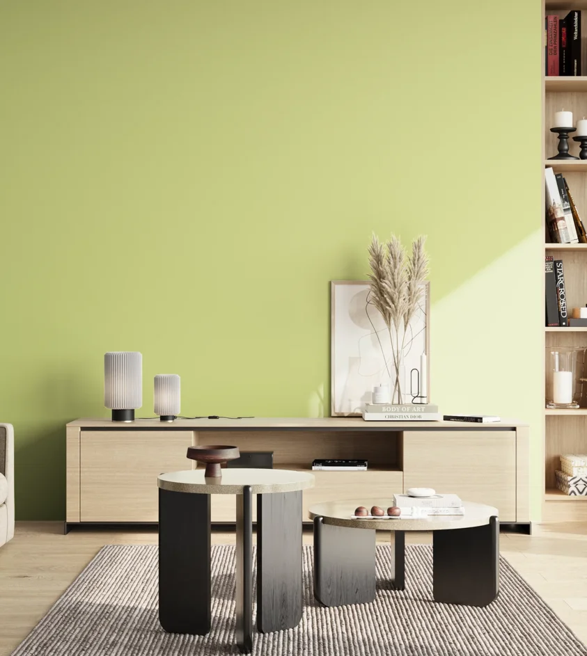 P10_SNIEZKA_salon_02_poludnie_GREY_S0530-G60Y