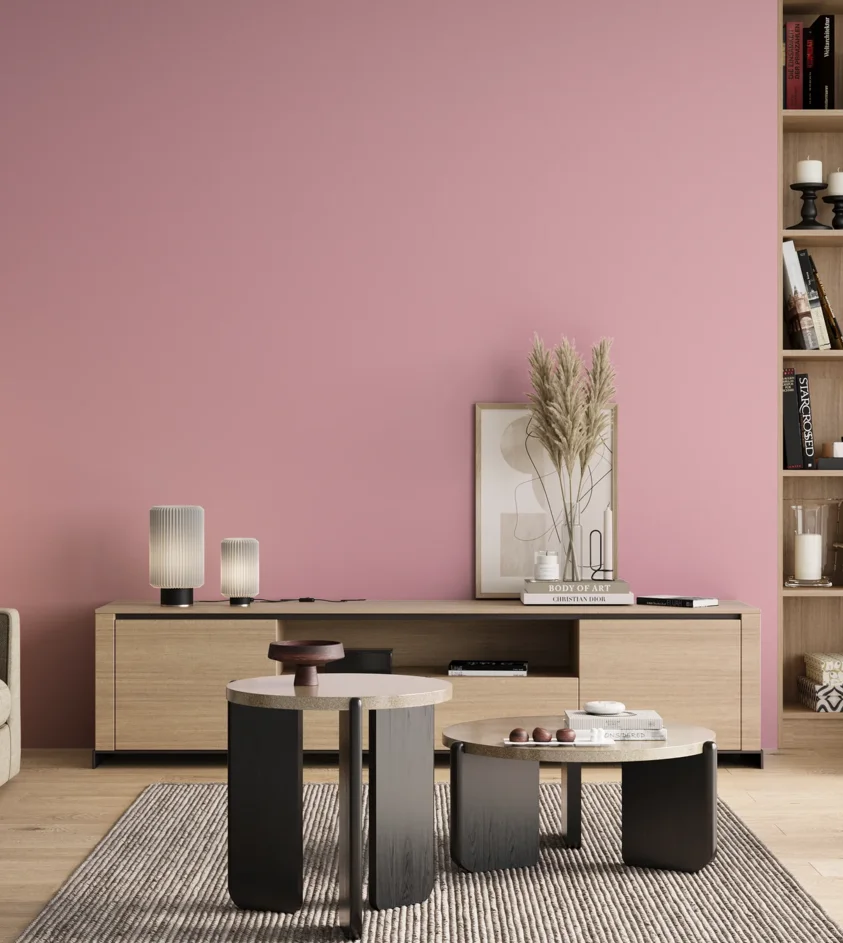 P10_SNIEZKA_salon_00_neutral_GREY_S0530-R20B