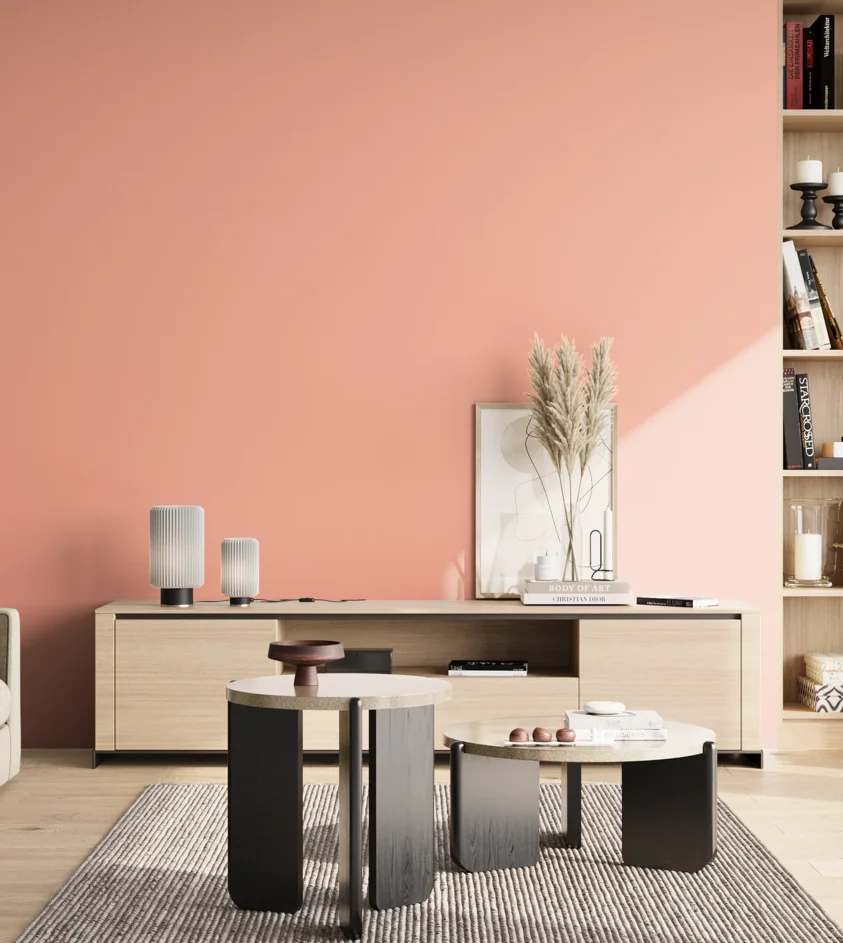 P10_SNIEZKA_salon_02_poludnie_GREY_S0530-Y80R