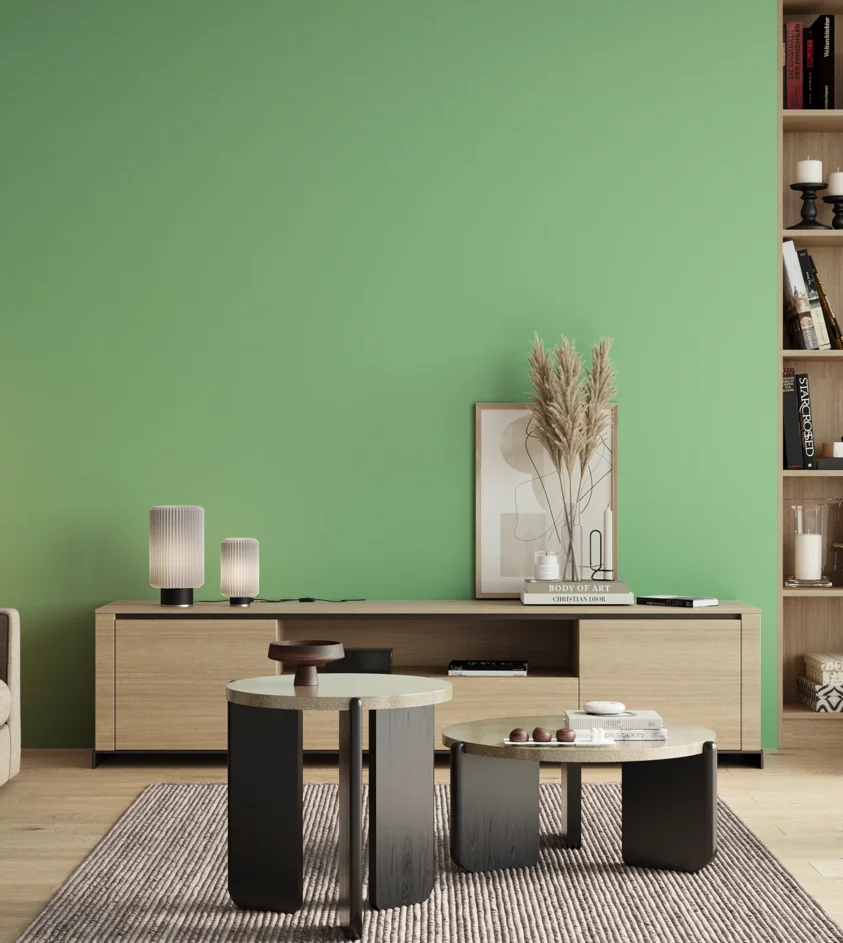 P10_SNIEZKA_salon_00_neutral_GREY_S0540-G10Y