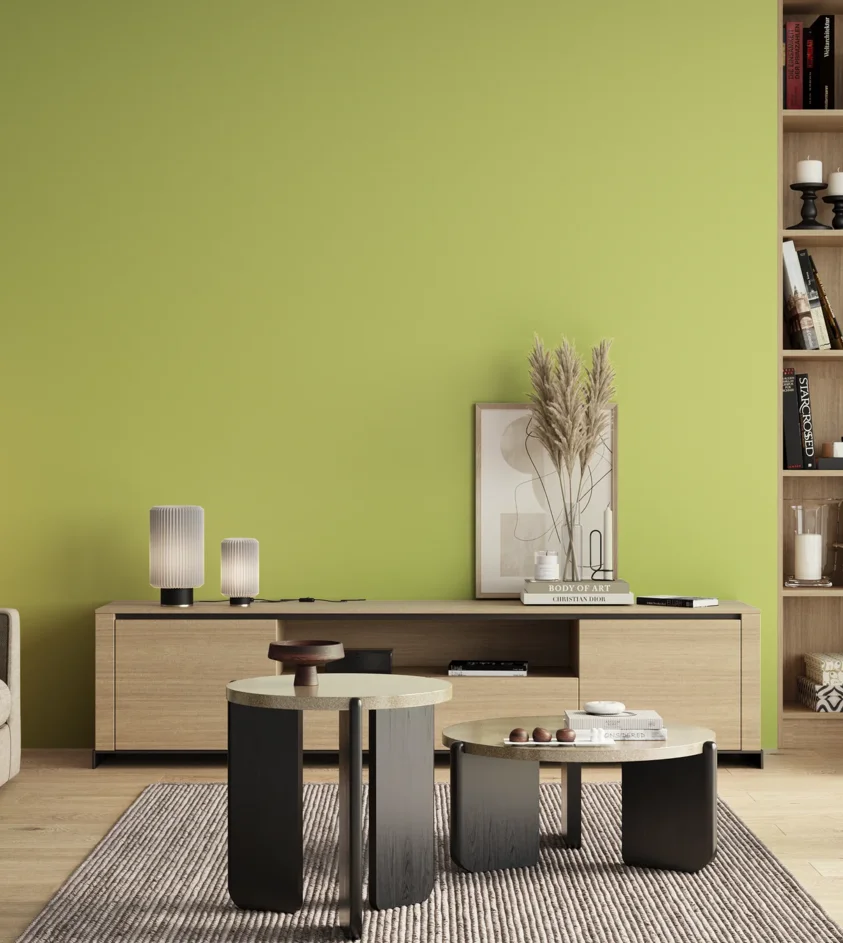 P10_SNIEZKA_salon_00_neutral_GREY_S0540-G60Y