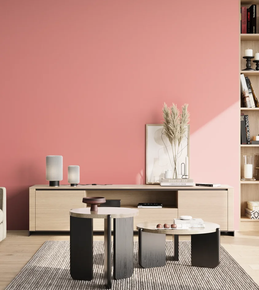 P10_SNIEZKA_salon_02_poludnie_GREY_S0540-R