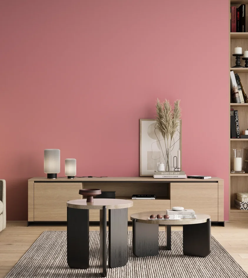 P10_SNIEZKA_salon_00_neutral_GREY_S0540-R10B