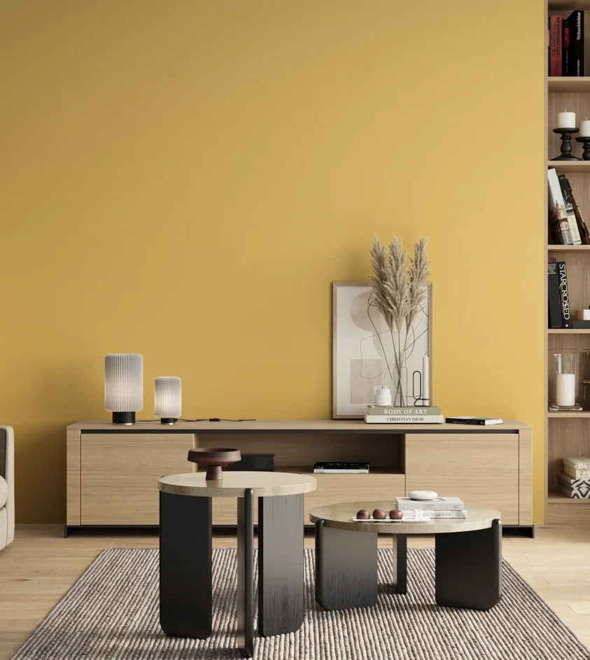 P10_SNIEZKA_salon_00_neutral_GREY_S0540-Y10R