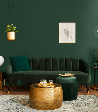 399733867-salon-z-zielona-sciana-w-stylu-modern-classic-C80