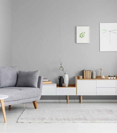 207008810-salon-szara-sofa-C29