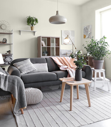 610430882-salon-z-szara-sofa-C1