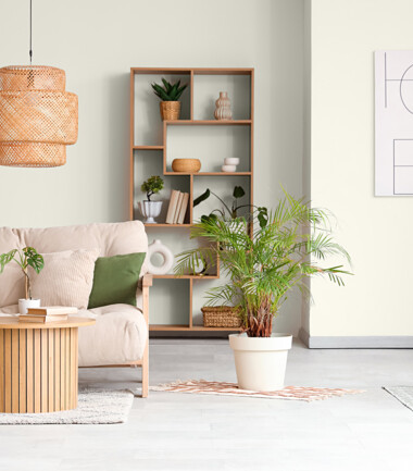 1149498397-bialy-salon-z-jasna-sofa-i-zielonymi-poduszkami-C1