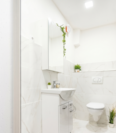 Łazienka w odcieniach bieli, z subtelnie białymi ścianami B5, utrzymana w nowoczesnym stylu, z roślinami ozdobnymi