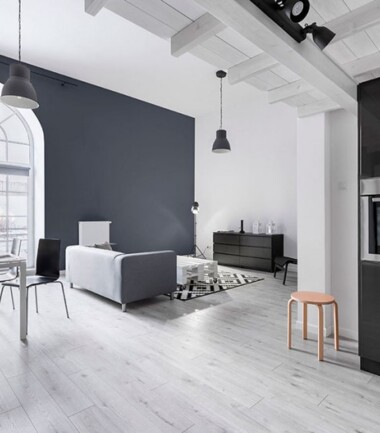 bialo-czarny-salon-z-aneksem-w-stylu-loftowym