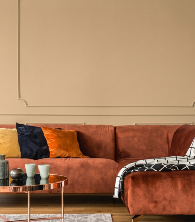 Salon z kanapą w kolorze terakoty i ścianą w kolorze Aromatyczna Kawa