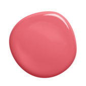 s1070-r