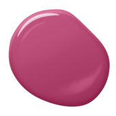 s2065-r20b