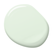 s0510-g20y