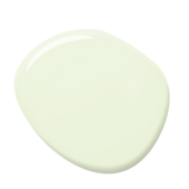 s0510-g40y