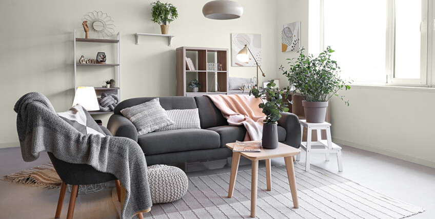 610430882-salon-z-szara-sofa-C1