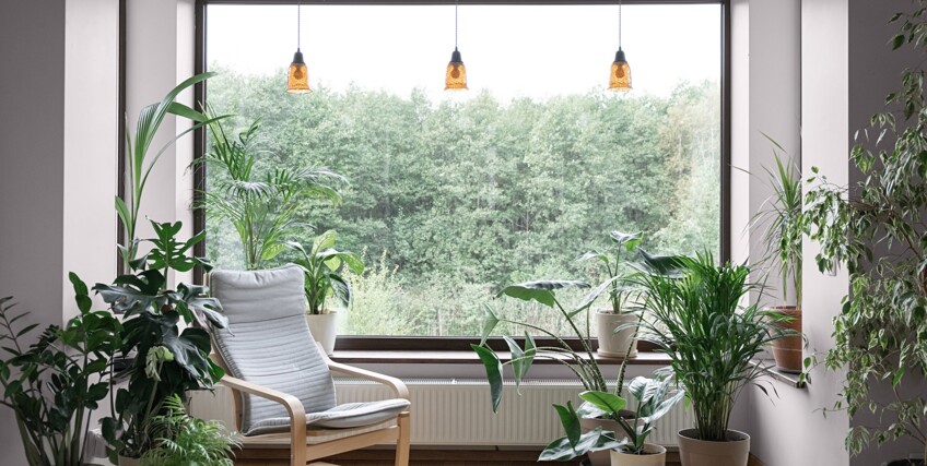 Styl naturalny – mieszkanie w jasnych kolorach. Propozycja koloru ściany to KL15 Platynowy Szary MAGNAT #kolorLove.