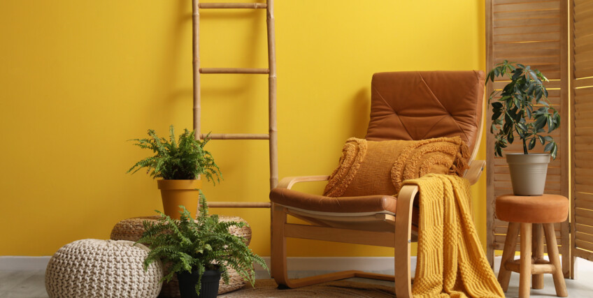 970083228-zolty-salon
