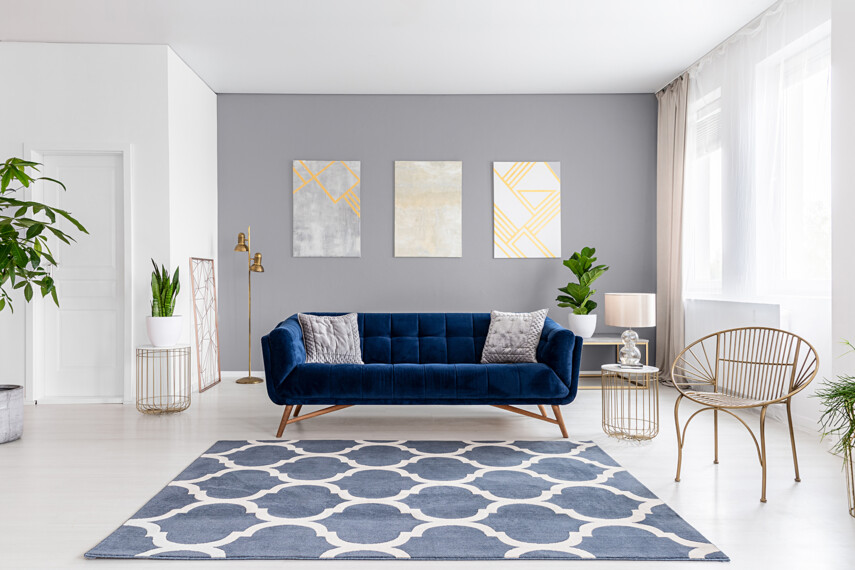 218786674-bialo-szary-salon-z-granatowa-sofa-C53-C45