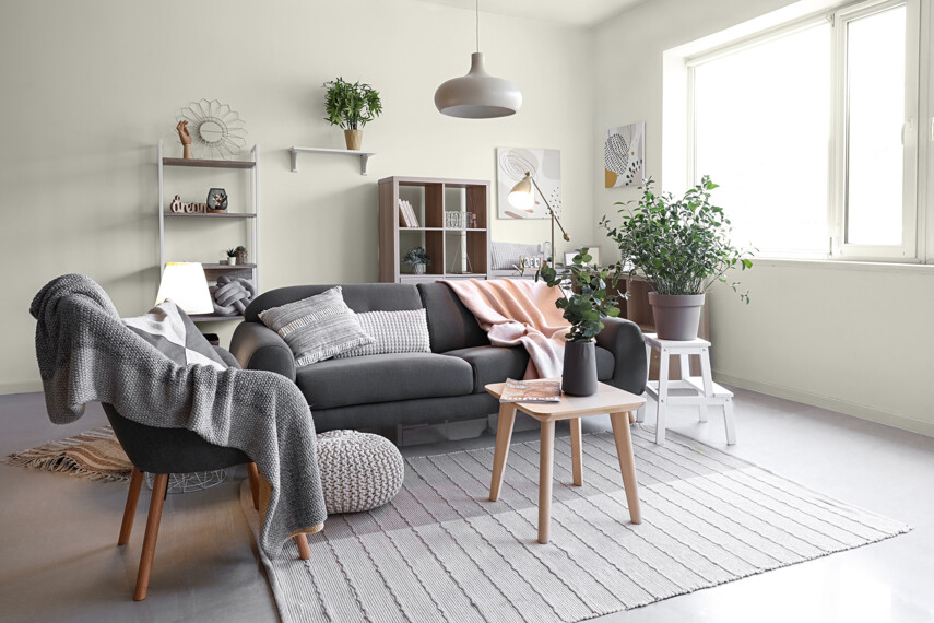 610430882-salon-z-szara-sofa-C1