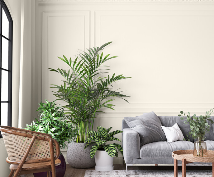 437256482-salon-z-zielonymi-roslinami-C48