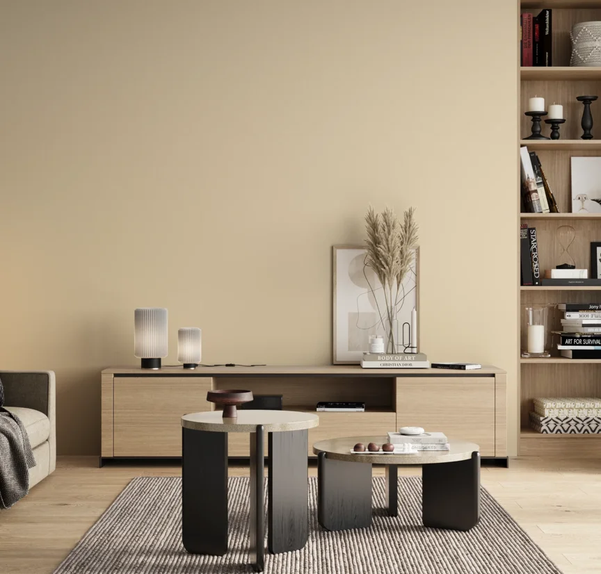 P10_SNIEZKA_salon_00_neutral_GREY_B7
