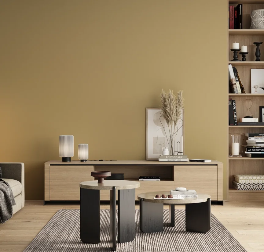 P10_SNIEZKA_salon_00_neutral_GREY_RAL1000